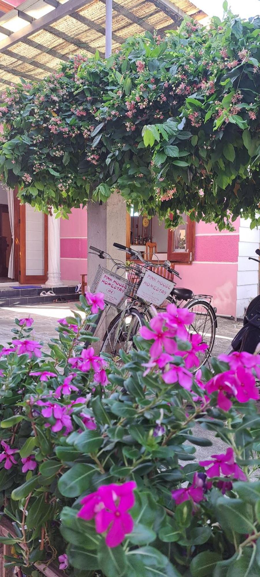 Pink House Homestay Hoi An Luaran gambar